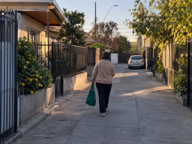 Persona de espaldas con una bolsa de compras caminando por un pasaje residencial